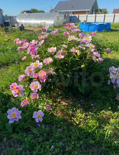 Дача 43,8 м² на участке 13,7 сот.