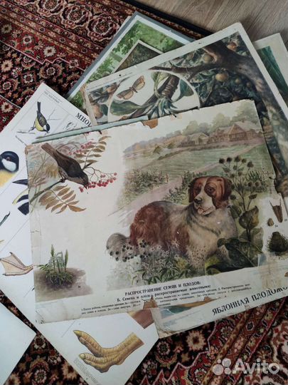 Плакаты, СССР