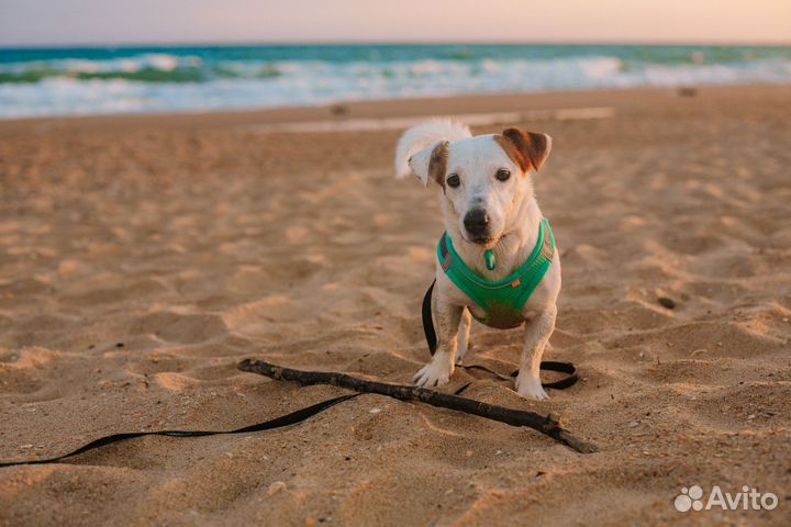 Фотограф Анапа