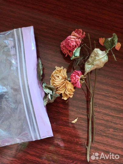 Цветы, освящённые на мощах Матроны Московской