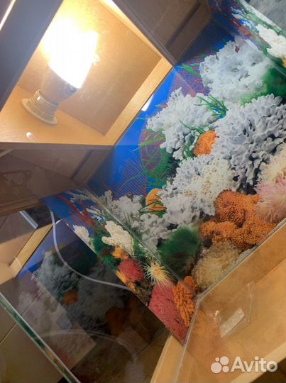 Аквариум