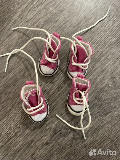 Кеды для маленьких собак