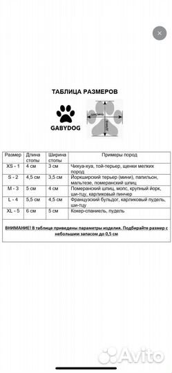 Одежда для маленьких собак