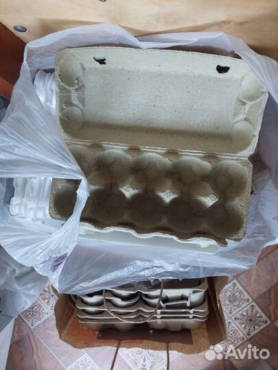 Лотки для яиц