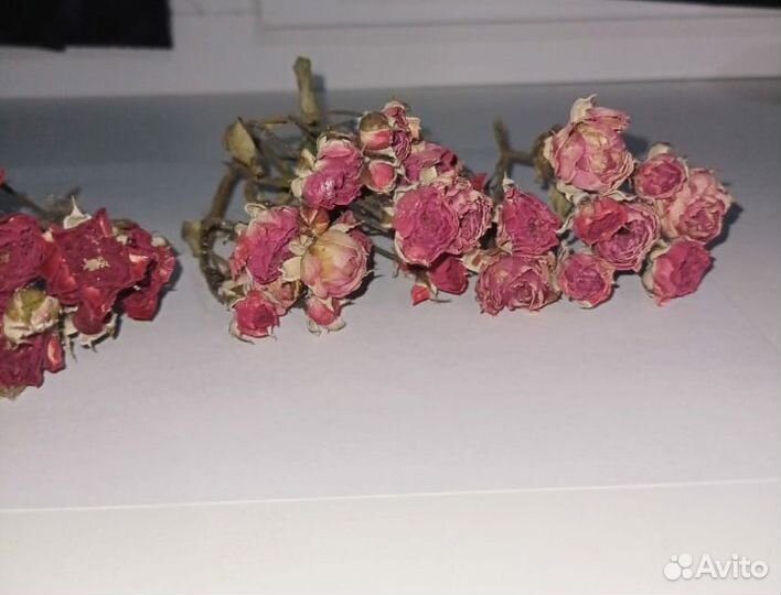 Розы сухие для творчества