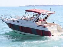 Моторная яхта (дизель) с каютой и WC San Boat