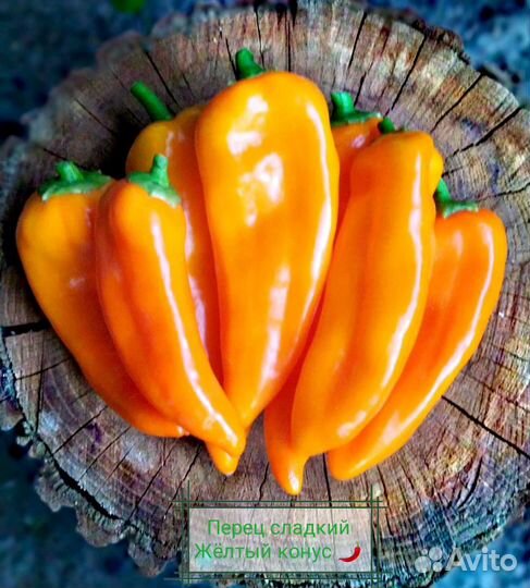 Семена дыни Тыдагункуайха и других овощей почтой