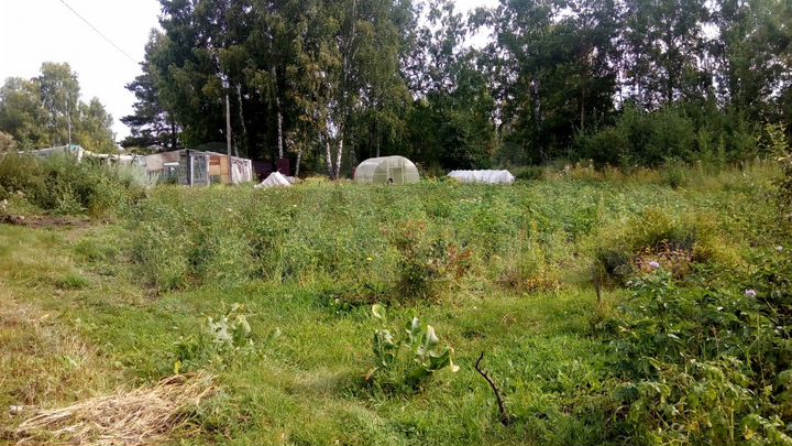 Участок 12 сот. (СНТ, ДНП)