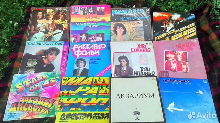 Виниловые пластинки