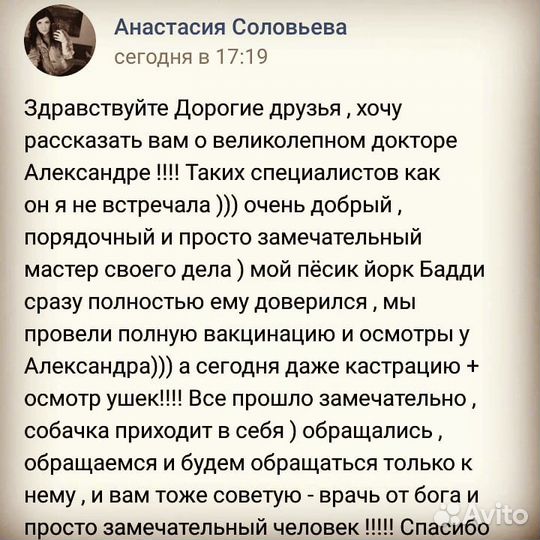 Ветеринар с выездом на дом