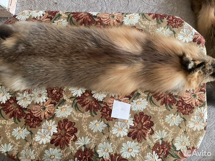 Выделанные шкуры лис сиводушек