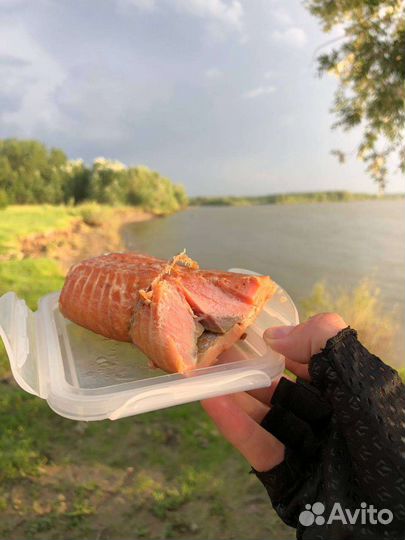 Форель радужная горячего копчения