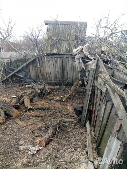 Пилить деревья