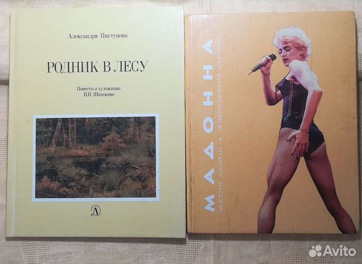 Книги о великих и знаменитых. Шишкин И. И