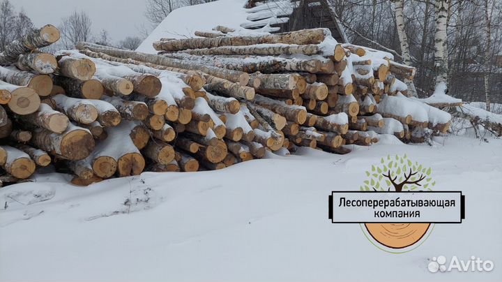 Баланс Березовый. Большие объемы