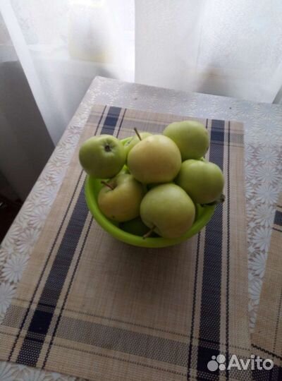 Яблоки свердловчанин