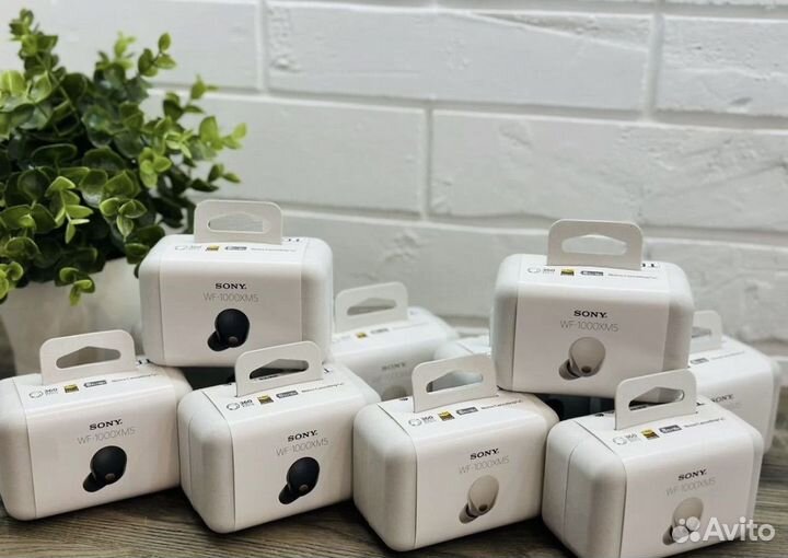 Наушники Sony WF-1000XM5