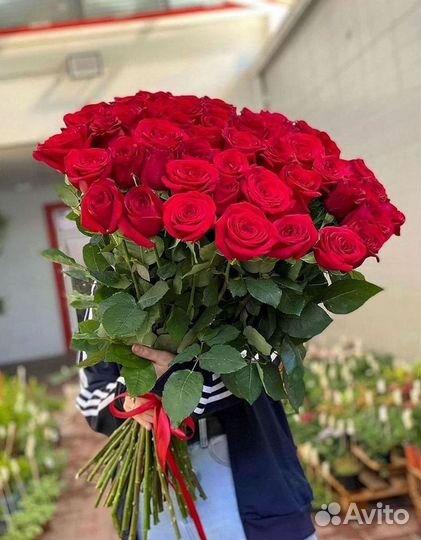 Высокие розы Гигантские розы с доставкой