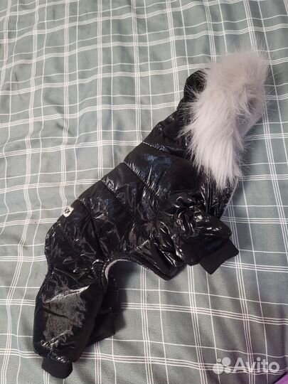 Одежда для маленьких собак s