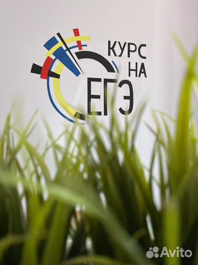 Репетитор по информатике егэ и огэ