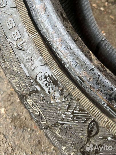 Formula Ice 185/65 R15