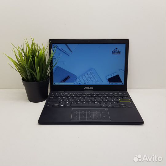 Ноутбук Asus Celeron/4Gb/SSD 64Gb