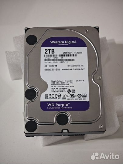 Wd purple 2tb