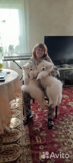 Мальчик красавчик