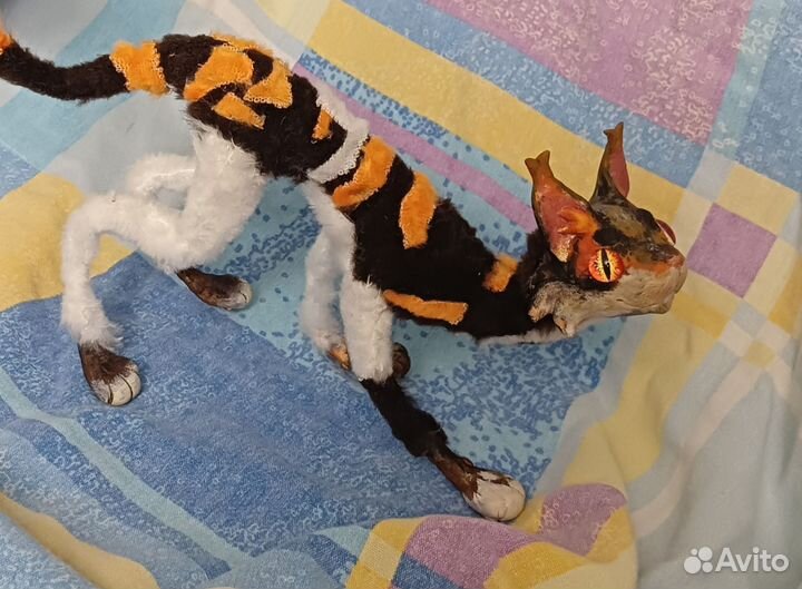 Сол Коты воители