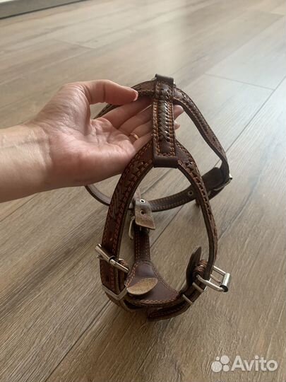 Шлейка для собаки