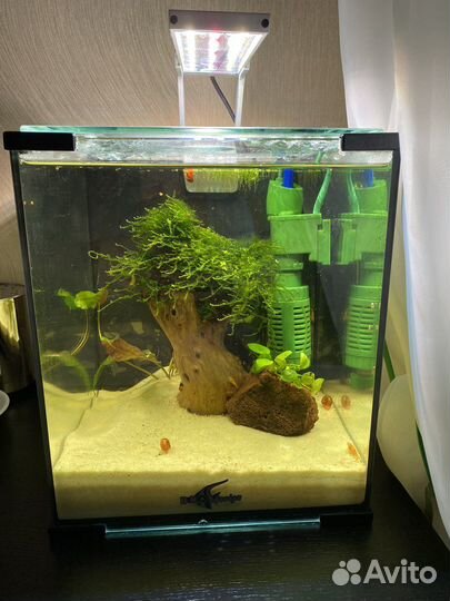Аквариум