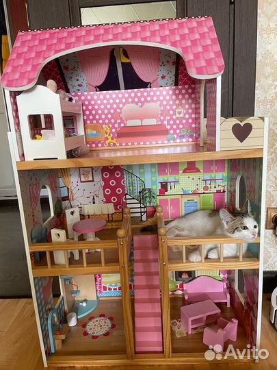 Котенок мальчик