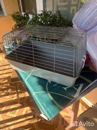 Клетка для кролика