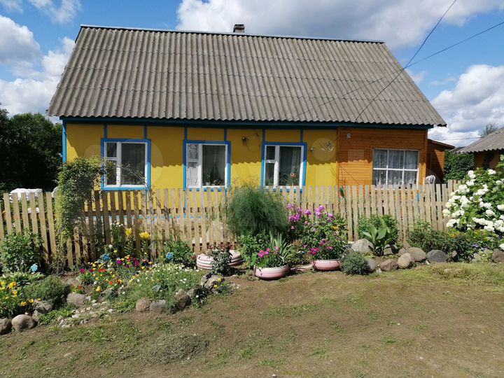 Дом 53 м² на участке 50 сот.