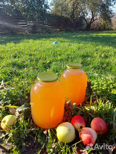 Сок яблочный концентрированный