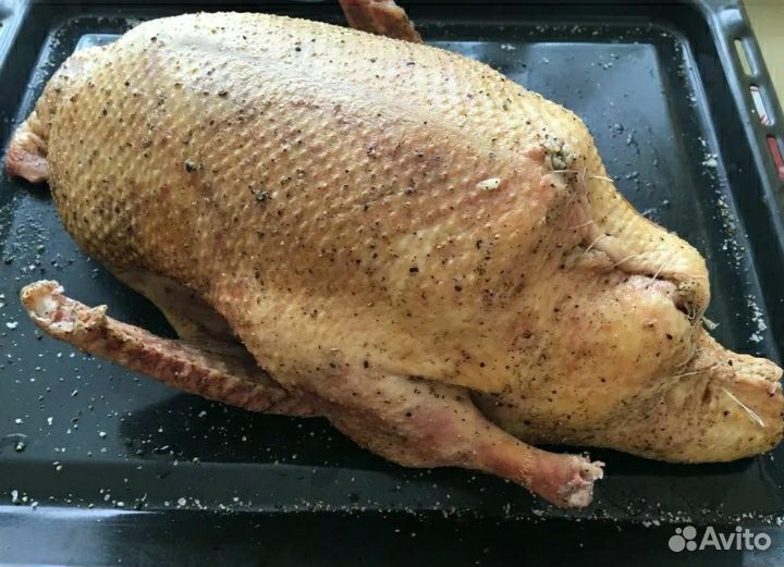 Индоутка тушка