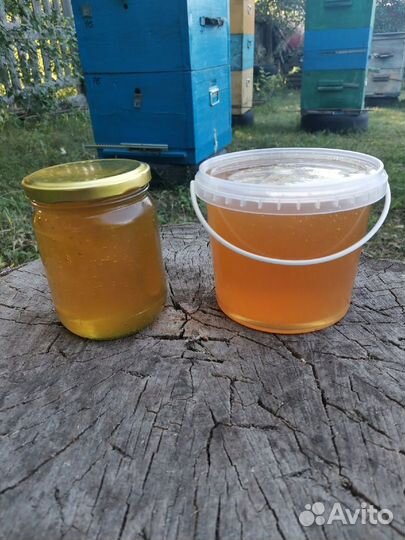 Мёд со своей пасеки 2023
