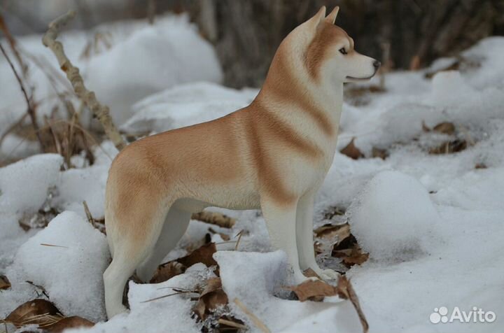 Фигурка фирмы Mr.Z хаски масштаб 1/6 новый