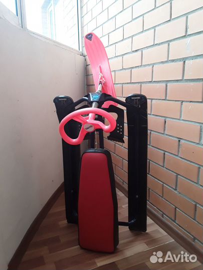 Аргомак детский