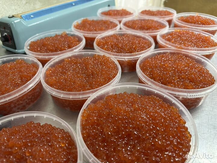 Красная Икра Кета 2023 опт/розница