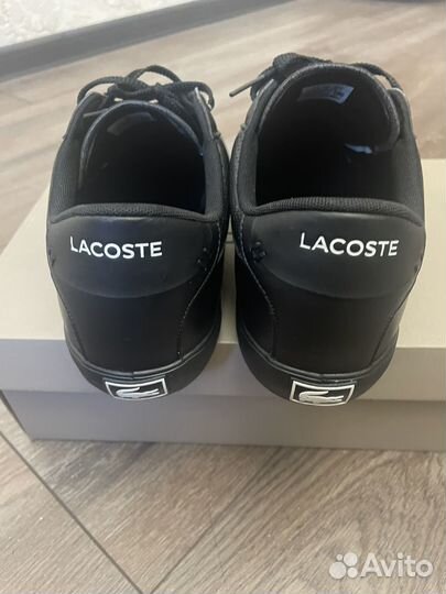 Кроссовки мужские lacoste 44