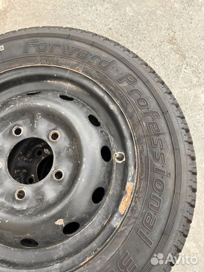 Forward Professional 301 185/75 R16