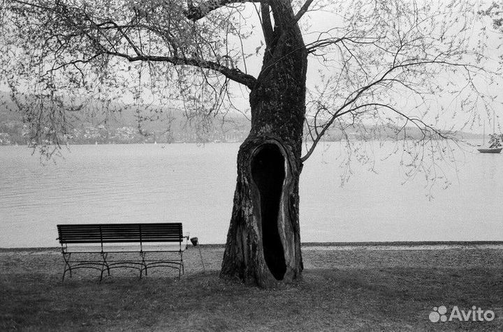 Harman ilford HP5 PlUS одноразовый фотоаппарат чб