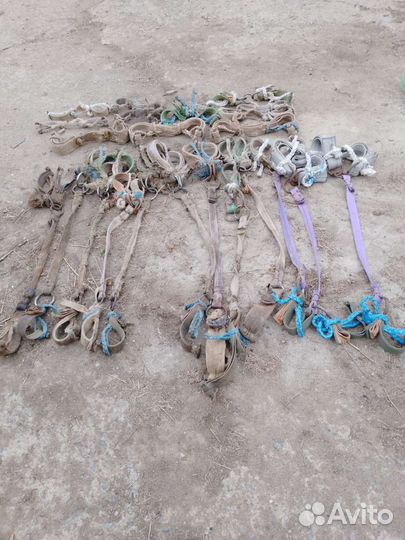 Конная амуниция бу