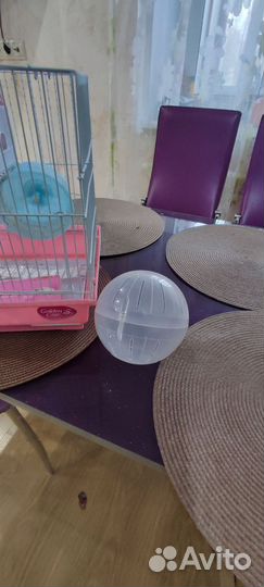 Клетка для хомяка бу