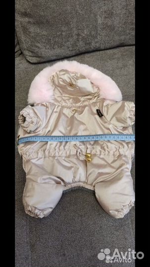 Зимний комбинезон для маленькой собаки