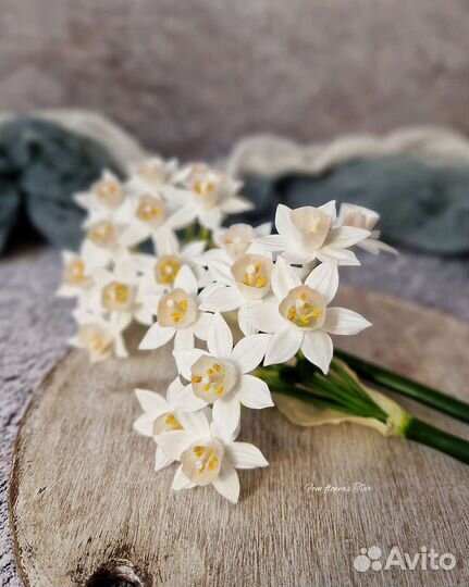 Нарцисс бумаговидный