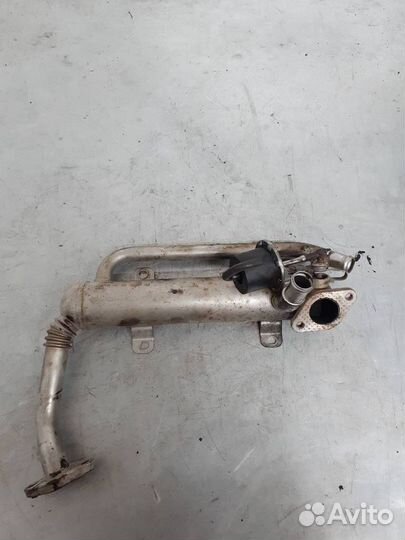 Радиатор EGR Volkswagen Passat B6 2008 03G131512