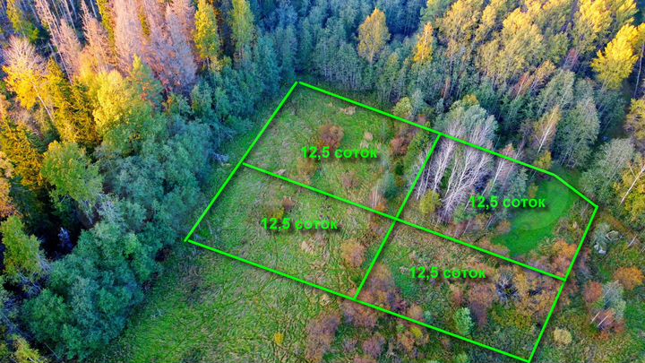 Участок 12,5 сот. (СНТ, ДНП)