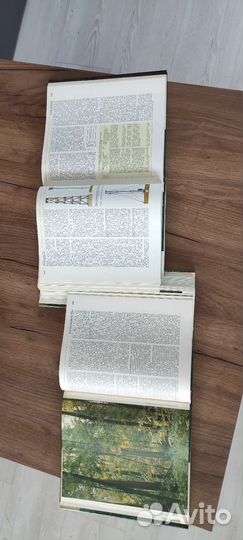 Лесная энциклопедия 2 тома